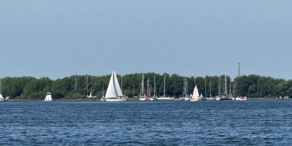 8148c603-6149-432e-b8e6-9a935b37983f.JPG