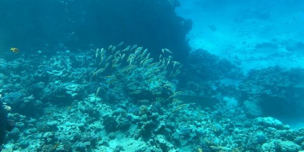 IMG_7949.jpg