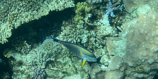 IMG_7766.jpg